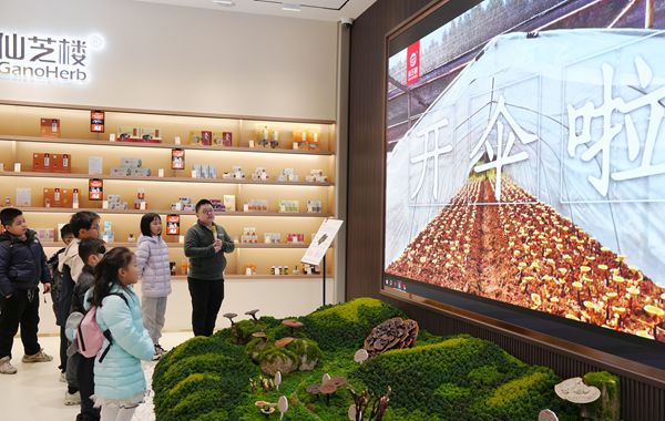 靈芝閩都研學(xué)行：探秘「仙草」背后的科學(xué)密碼