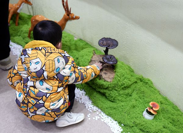 靈芝閩都研學(xué)行：探秘「仙草」背后的科學(xué)密碼